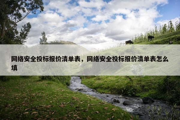网络安全投标报价清单表，网络安全投标报价清单表怎么填
