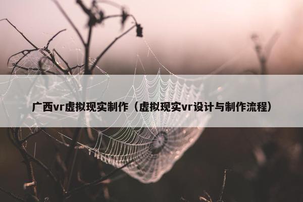 广西vr虚拟现实制作（虚拟现实vr设计与制作流程）