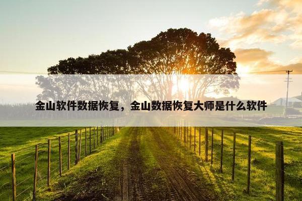 金山软件数据恢复，金山数据恢复大师是什么软件