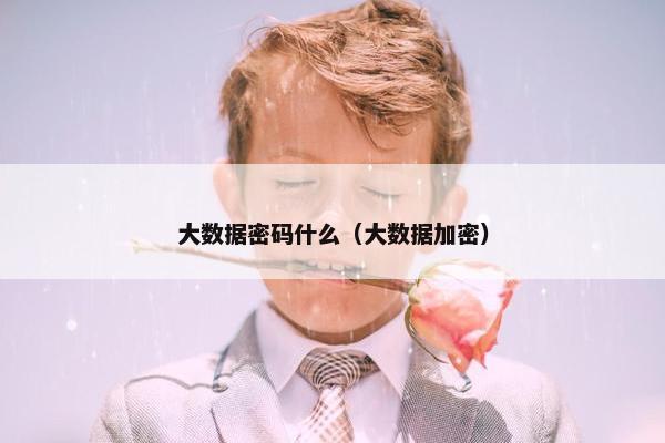 大数据密码什么（大数据加密）