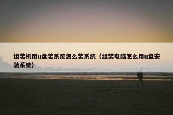 组装机用u盘装系统怎么装系统（组装电脑怎么用u盘安装系统）