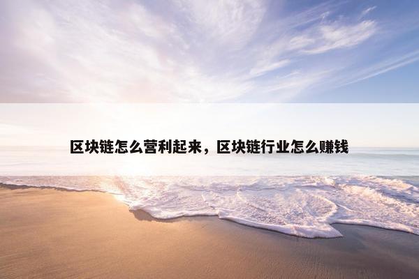 区块链怎么营利起来，区块链行业怎么赚钱