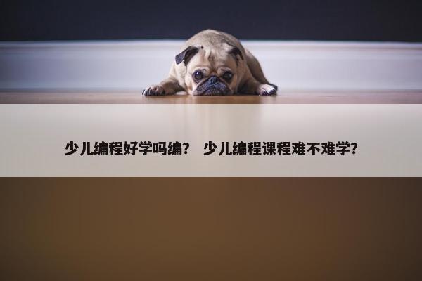 少儿编程好学吗编？ 少儿编程课程难不难学？