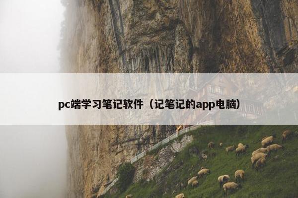 pc端学习笔记软件（记笔记的app电脑）