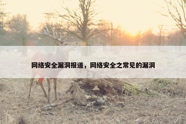 网络安全漏洞报道，网络安全之常见的漏洞