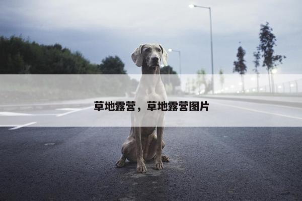 草地露营，草地露营图片