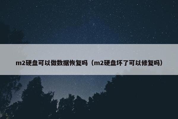 m2硬盘可以做数据恢复吗（m2硬盘坏了可以修复吗）