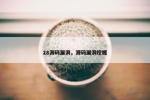 28源码漏洞，源码漏洞挖掘