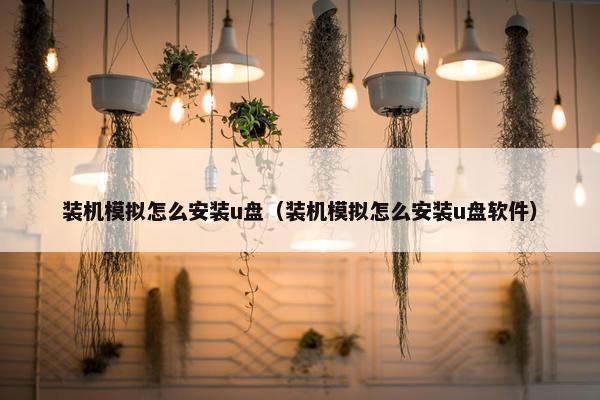 装机模拟怎么安装u盘（装机模拟怎么安装u盘软件）