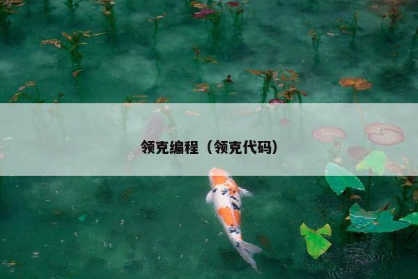 领克编程（领克代码）