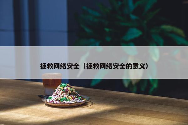 拯救网络安全（拯救网络安全的意义）