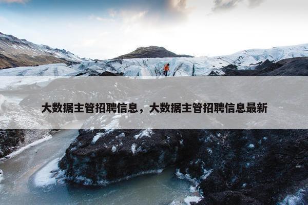 大数据主管招聘信息，大数据主管招聘信息最新