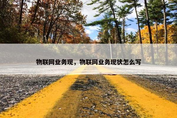 物联网业务现，物联网业务现状怎么写