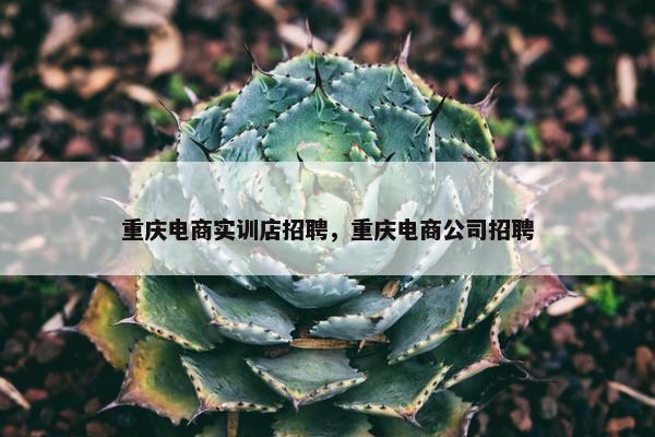 重庆电商实训店招聘，重庆电商公司招聘