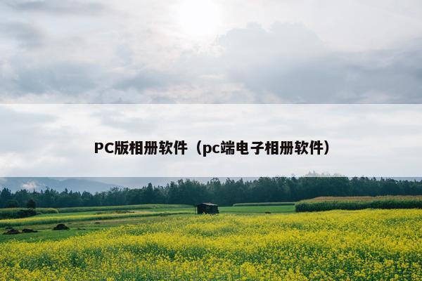 PC版相册软件（pc端电子相册软件）