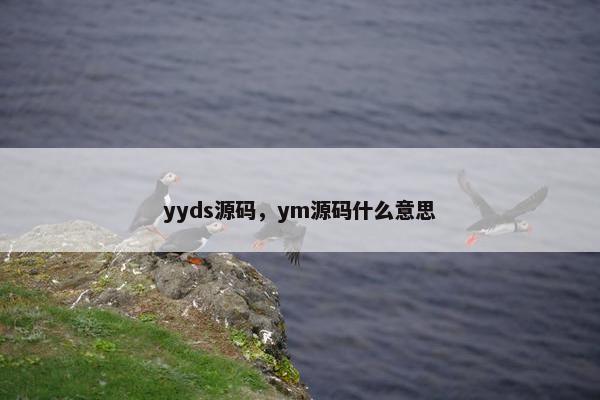 yyds源码，ym源码什么意思