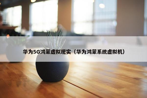 华为5G鸿蒙虚拟现实（华为鸿蒙系统虚拟机）