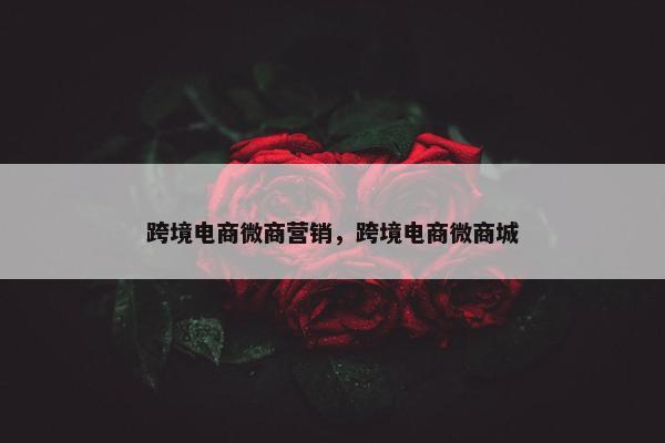 跨境电商微商营销，跨境电商微商城