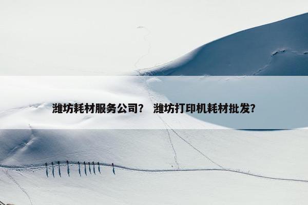 潍坊耗材服务公司？ 潍坊打印机耗材批发？