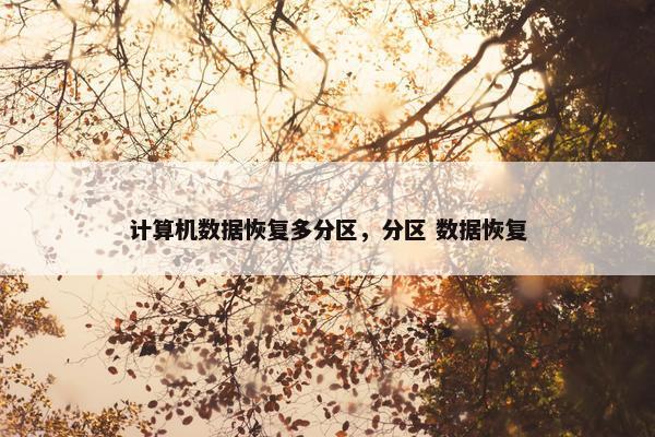 计算机数据恢复多分区，分区 数据恢复