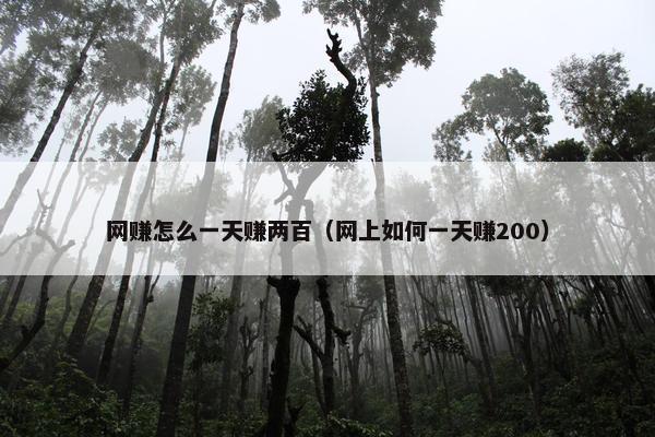 网赚怎么一天赚两百（网上如何一天赚200）