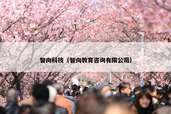 智向科技（智向教育咨询有限公司）