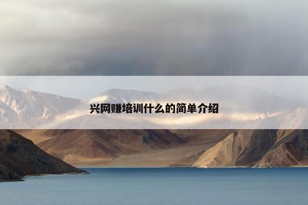 兴网赚培训什么的简单介绍