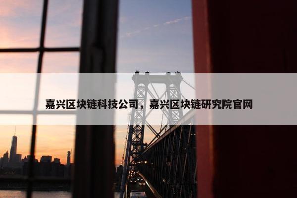 嘉兴区块链科技公司，嘉兴区块链研究院官网
