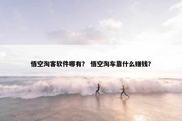悟空淘客软件哪有？ 悟空淘车靠什么赚钱？