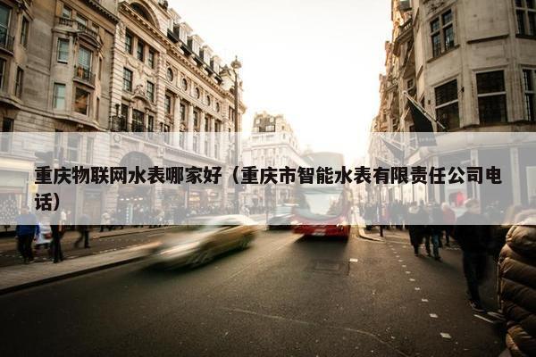 重庆物联网水表哪家好（重庆市智能水表有限责任公司电话）