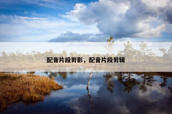 配音片段剪影，配音片段剪辑