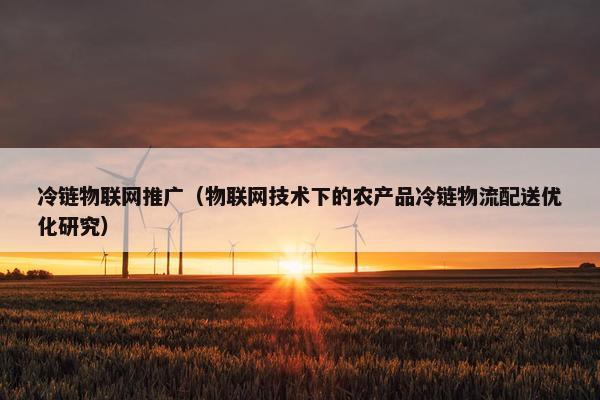 冷链物联网推广（物联网技术下的农产品冷链物流配送优化研究）