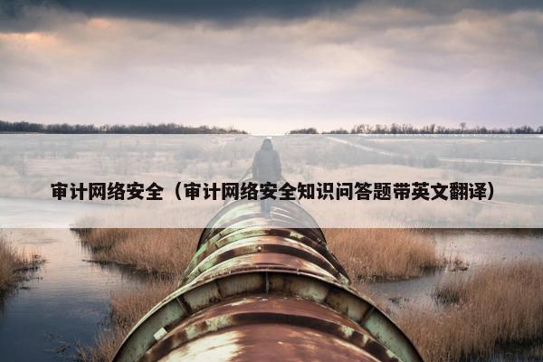 审计网络安全（审计网络安全知识问答题带英文翻译）