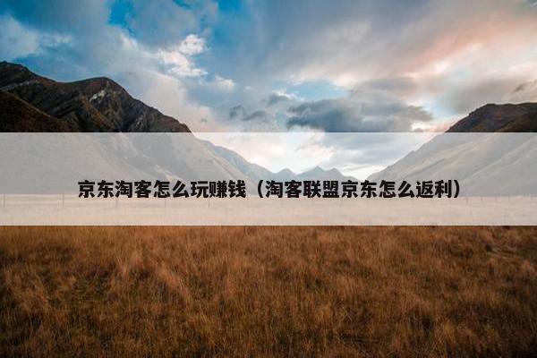 京东淘客怎么玩赚钱（淘客联盟京东怎么返利）
