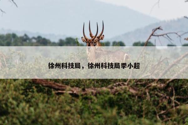 徐州科技局，徐州科技局季小超
