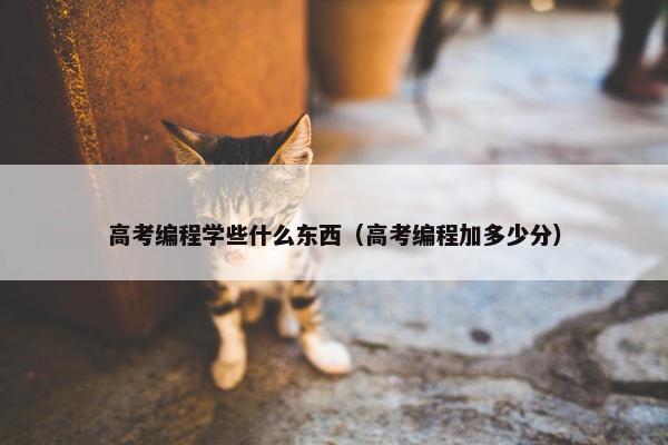 高考编程学些什么东西（高考编程加多少分）