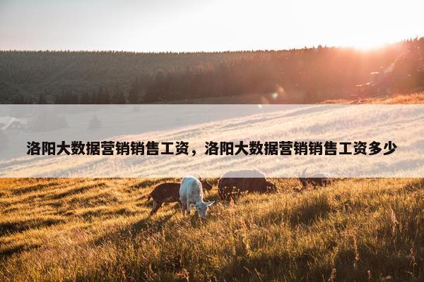 洛阳大数据营销销售工资，洛阳大数据营销销售工资多少