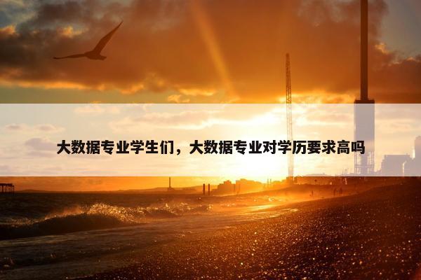 大数据专业学生们，大数据专业对学历要求高吗