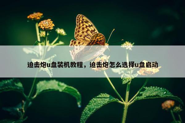 迫击炮u盘装机教程，迫击炮怎么选择u盘启动