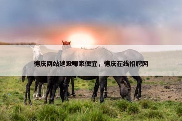 德庆网站建设哪家便宜，德庆在线招聘网