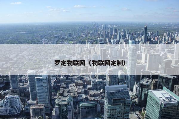 罗定物联网（物联网定制）