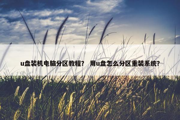 u盘装机电脑分区教程？ 用u盘怎么分区重装系统？