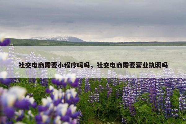 社交电商需要小程序吗吗，社交电商需要营业执照吗