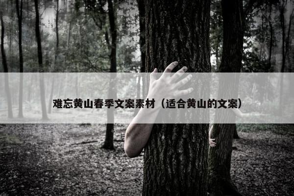难忘黄山春季文案素材（适合黄山的文案）