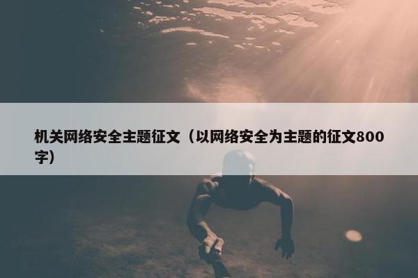 机关网络安全主题征文（以网络安全为主题的征文800字）