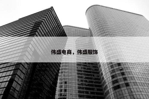伟盛电商，伟盛服饰