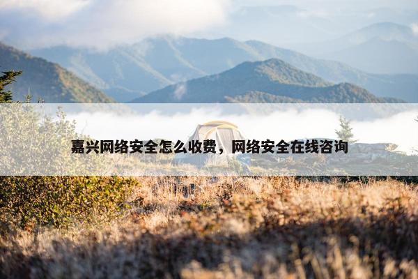 嘉兴网络安全怎么收费，网络安全在线咨询