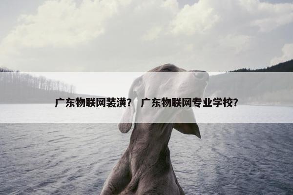 广东物联网装潢？ 广东物联网专业学校？