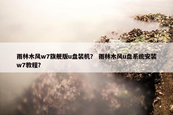 雨林木风w7旗舰版u盘装机？ 雨林木风u盘系统安装w7教程？