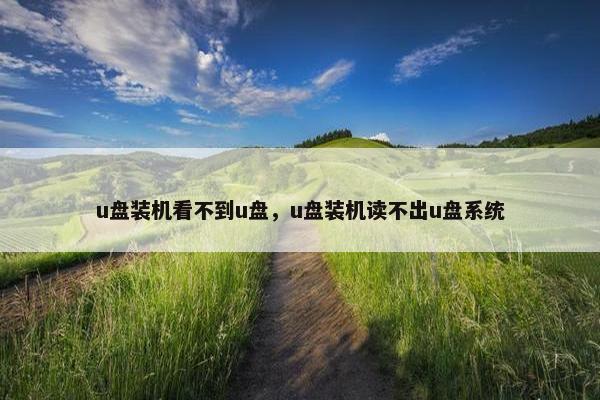 u盘装机看不到u盘，u盘装机读不出u盘系统
